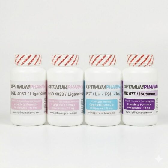 SARM Beginner Stack